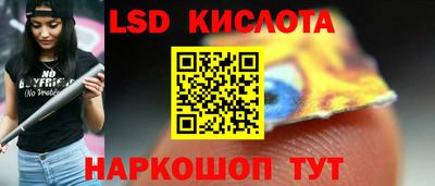 мдпв Кингисепп