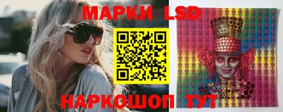 мдпв Кингисепп