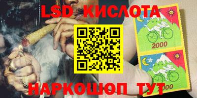 мдпв Кингисепп