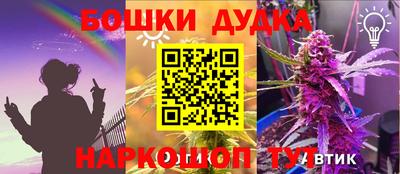 мдпв Кингисепп