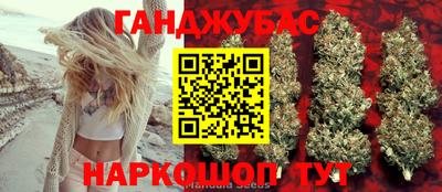 мдпв Кингисепп