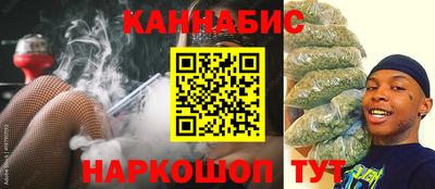 мдпв Кингисепп