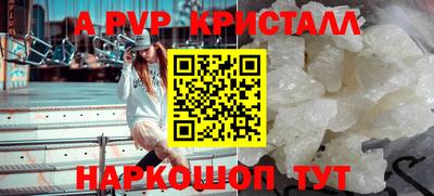 мдпв Кингисепп