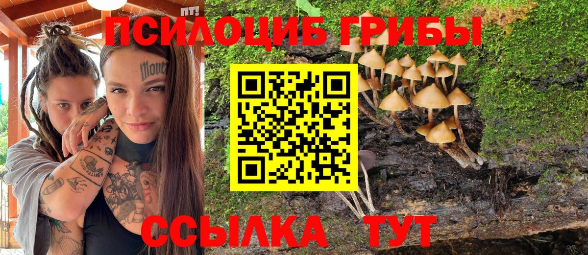 Галлюциногенные грибы GOLDEN TEACHER  Галлюциногенные грибы Psilocybine cubensis  Снежинск  Вход с VPN 